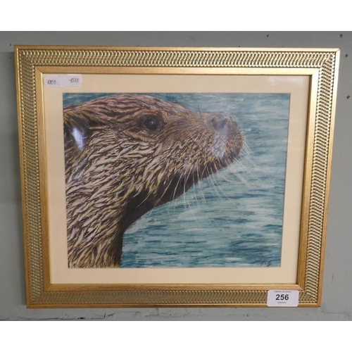 256 - Original pastel - Otter signed TCT