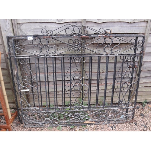 487 - Pair of iron gates