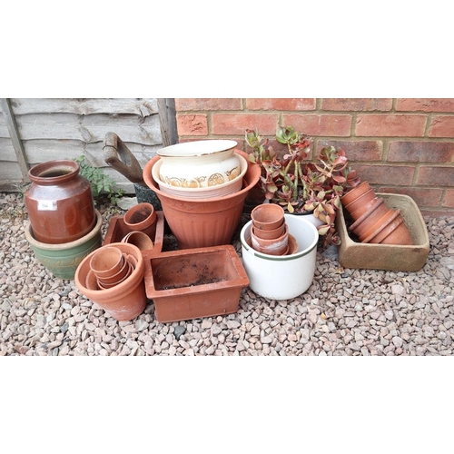 504 - Collection of garden pots to include Terracotta