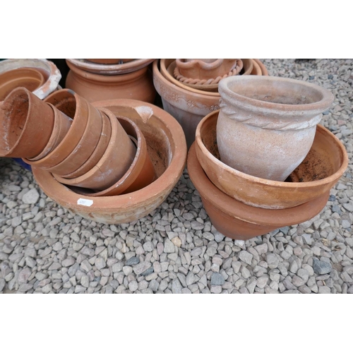 459 - Collection of terracotta and plastic garden pots