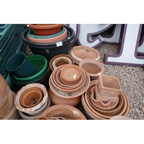 459 - Collection of terracotta and plastic garden pots