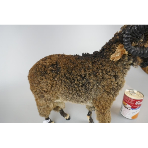 73 - Victorian model ram with real fur - Approx height: 36cm