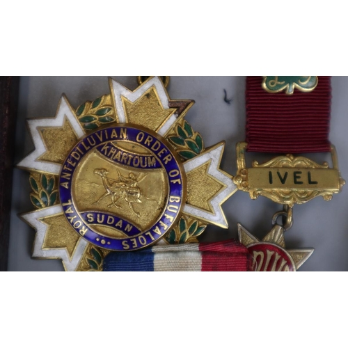 109 - Collection of medals to include R.A.O.B. Medals with provenance