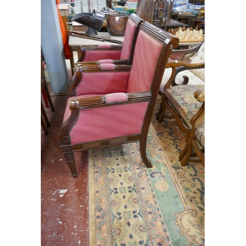 428 - Pair of William IV style armchairs