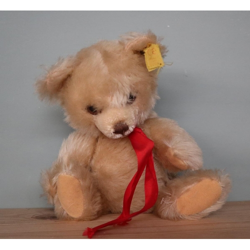 135 - Small Steiff teddy bear