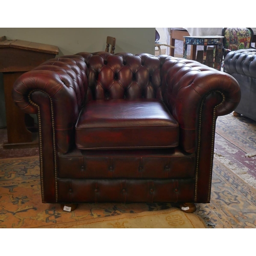 382 - Ox blood leather Chesterfield tub chair