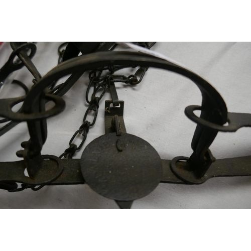 145 - 2 gin traps with gun dog training pistol and gun padlocks