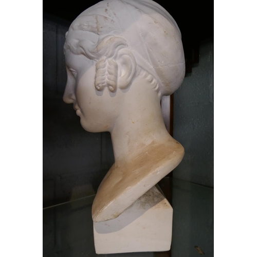 149 - Bust of lady - Approx height: 44cm