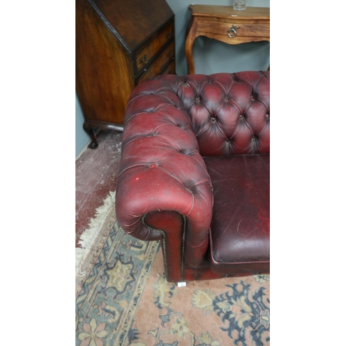 381 - Ox blood leather Chesterfield 2 seater sofa