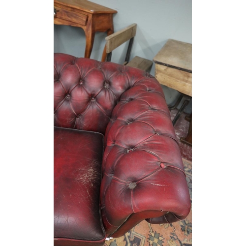 381 - Ox blood leather Chesterfield 2 seater sofa