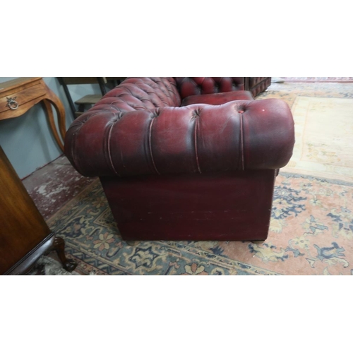 381 - Ox blood leather Chesterfield 2 seater sofa