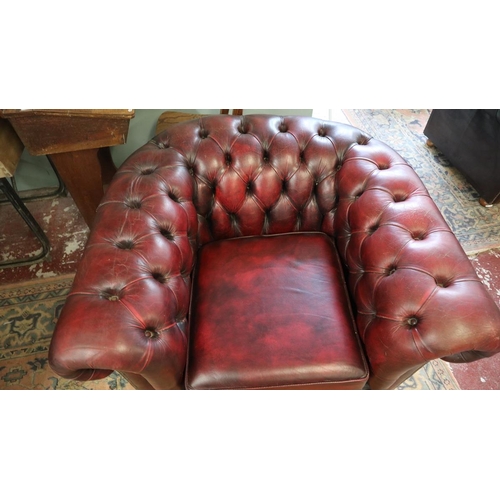 382 - Ox blood leather Chesterfield tub chair