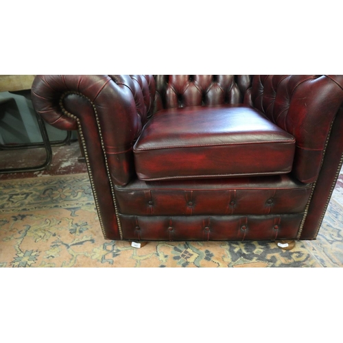 382 - Ox blood leather Chesterfield tub chair