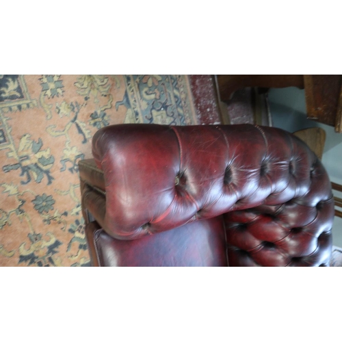 382 - Ox blood leather Chesterfield tub chair