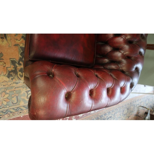 382 - Ox blood leather Chesterfield tub chair