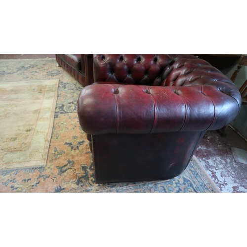 382 - Ox blood leather Chesterfield tub chair