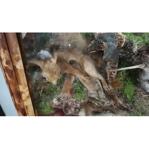 294 - Large British wildlife taxidermy display cabinet to include pheasant, stoat, red squirrel, partridge... 