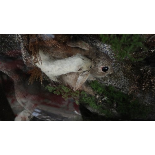 294 - Large British wildlife taxidermy display cabinet to include pheasant, stoat, red squirrel, partridge... 