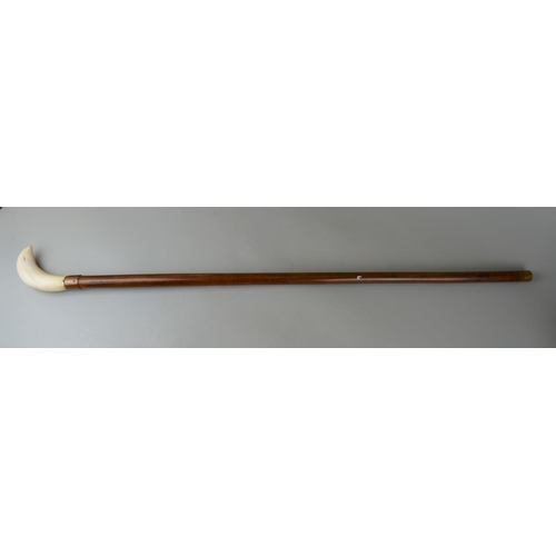 200 - Whale tooth handled walking stick