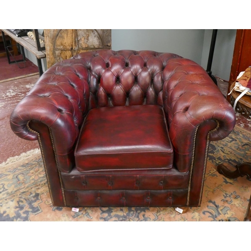 342 - Ox blood leather Chesterfield tub chair