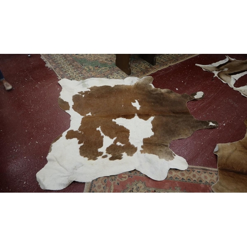 359 - Large cow hide