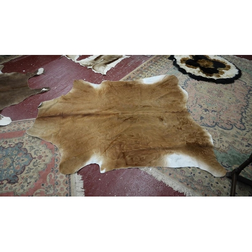 360 - Large gazelle hide