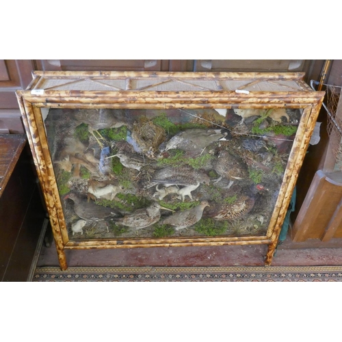 381 - Large British wildlife taxidermy display cabinet to include pheasant, stoat, red squirrel, partridge... 