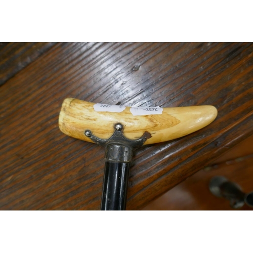 199 - Whale tooth handled walking stick