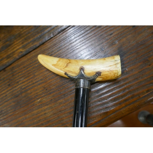 199 - Whale tooth handled walking stick