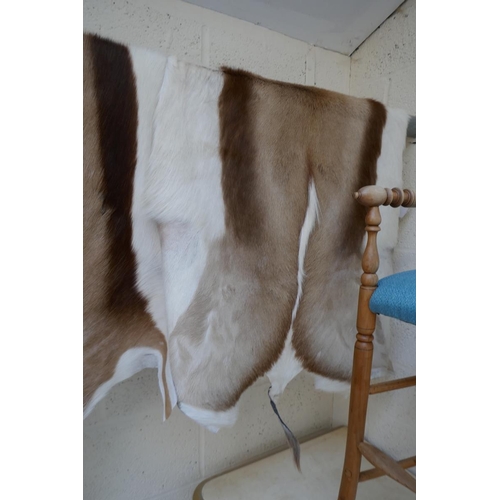 361 - Pair of muntjac hides