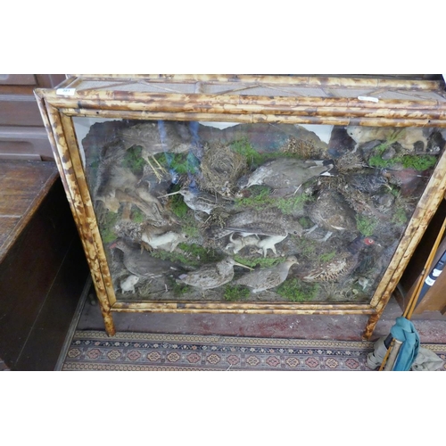 381 - Large British wildlife taxidermy display cabinet to include pheasant, stoat, red squirrel, partridge... 