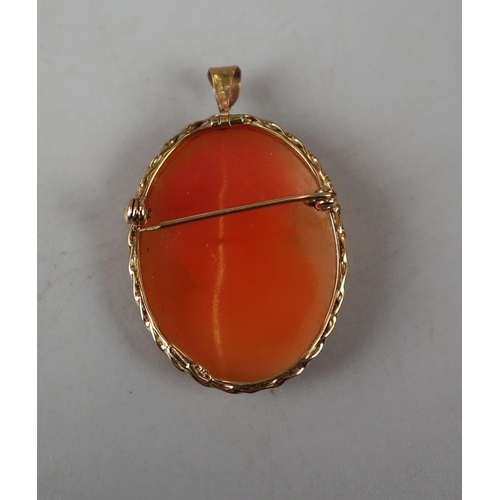 55 - Cameo pendant/brooch with gold casing