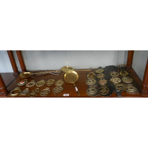 246 - Collection of horse brasses etc