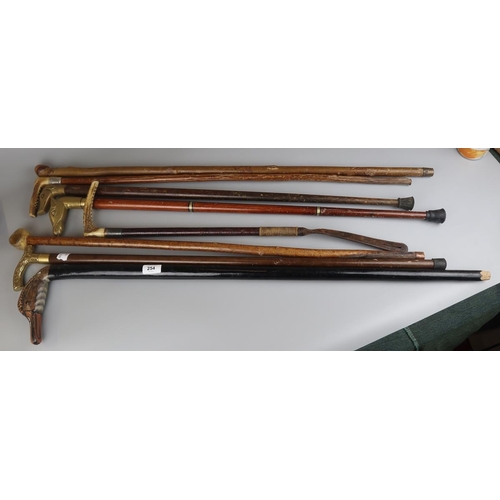 254 - Collection of walking sticks