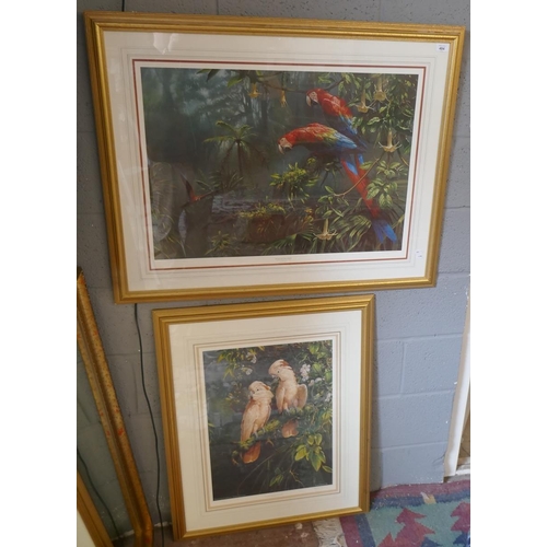 484 - 2 signed parrot prints