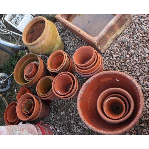 547 - Large collection of terracotta plant pots 