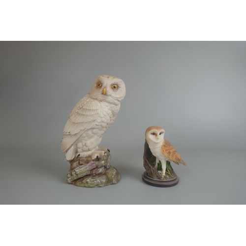 176 - Collection of bird figurines etc