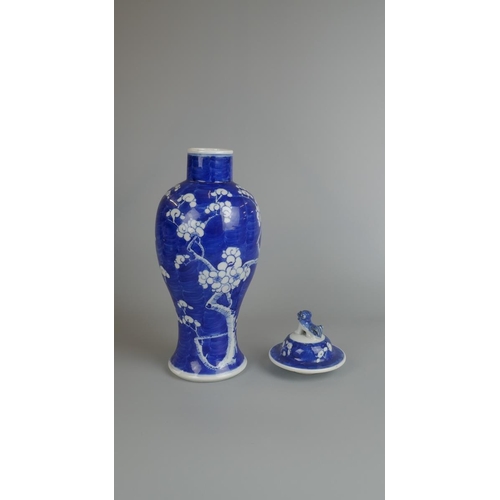 185 - Foo dog lidded ginger jar together with a Chinese storage jar