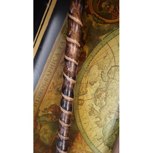 308 - Twisted stem walking stick