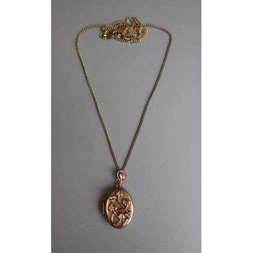 257 - Gold locket and chain