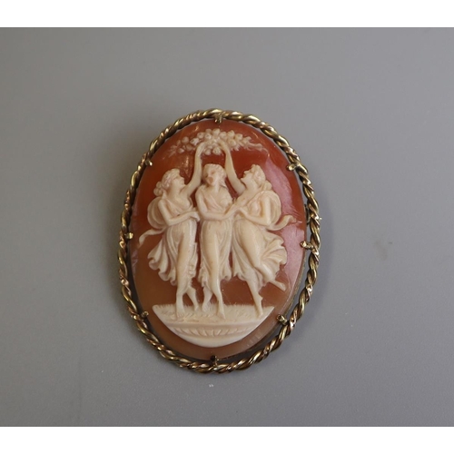 307 - Gold cameo brooch