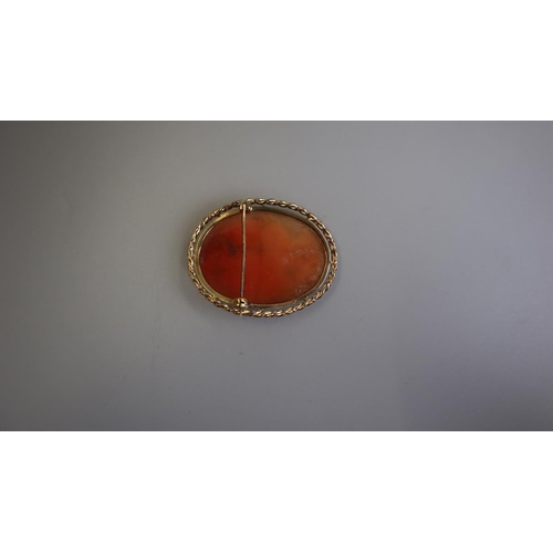 307 - Gold cameo brooch