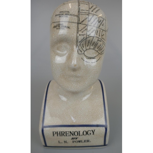 178 - Ceramic Phrenology head - Approx height: 28cm