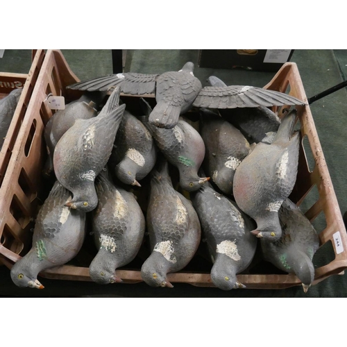 244 - 13 full bodied Pigeon decoys
