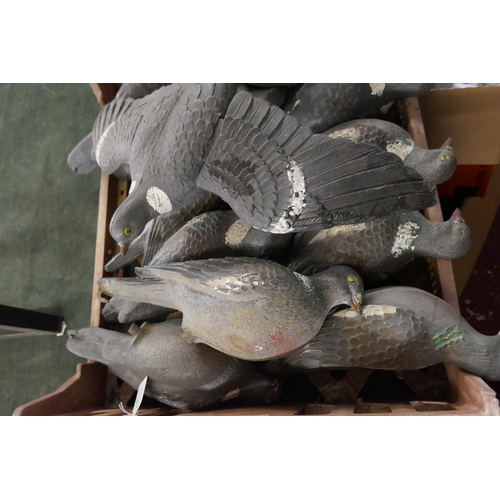 244 - 13 full bodied Pigeon decoys