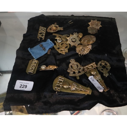 229 - Collection of cap badges etc