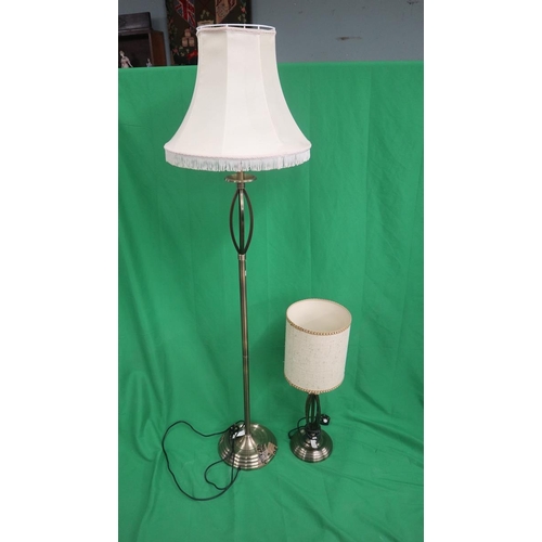 212 - 2 lamps to include 1 standard