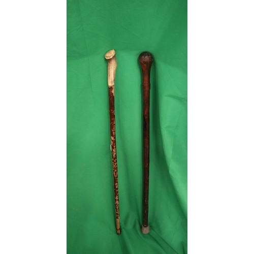 216 - 2 walking sticks one with a horn handle