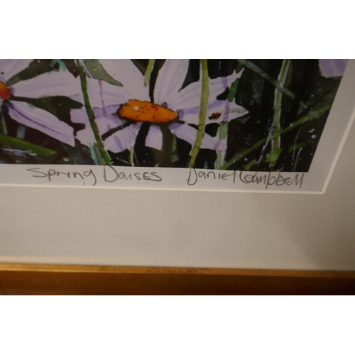249 - Pair of L/E prints - Spring Poppies & Spring Daisies by Daniel Campbell