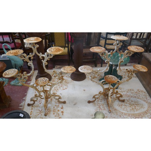 404 - Pair of cast iron 6 branch plant stands - Approx height: 99cm
